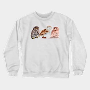 Trio of Owls Crewneck Sweatshirt